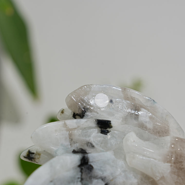 Unique,A Slightly Imperfect Natural Crystal Rainbow Moonstone Flying Dragon Carving