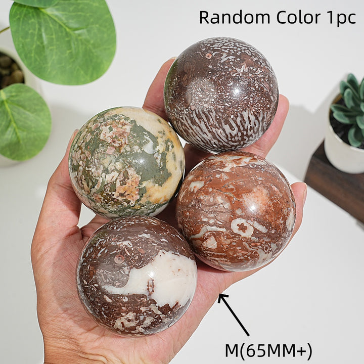 Natural Crystal Round Crinoid Fossil Sphere