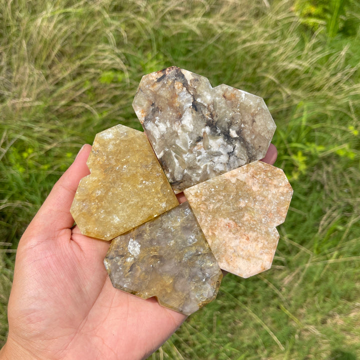 Natural Crystal Warm Phlogopite With Hematite Heart