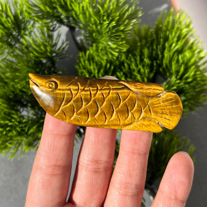 Tiger Eye Fish Carving