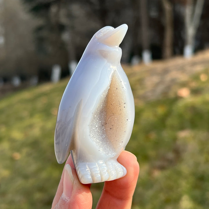 Unique, Agate Geode Penguin