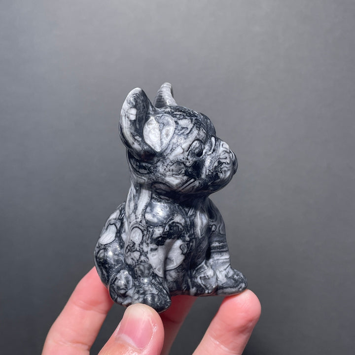 Ammonite Fossil Bulldog Carving