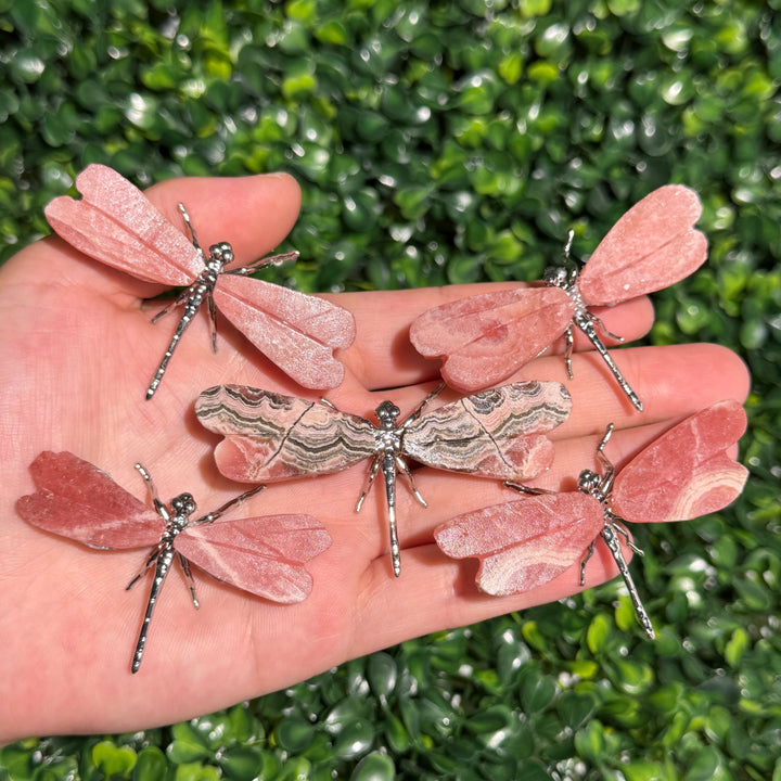Unique,Rhodochrosite Dragonfly
