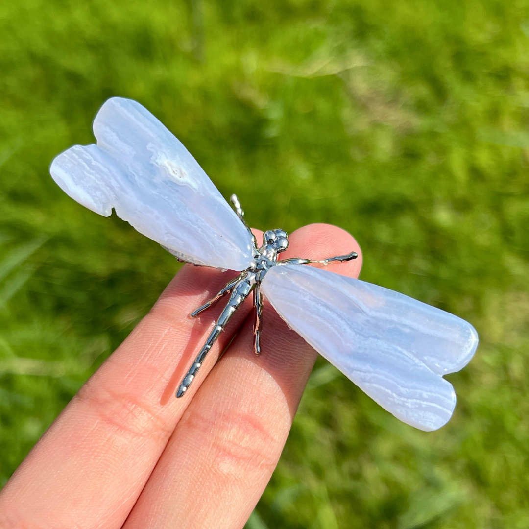 Blue Lace Agate Dragonfly