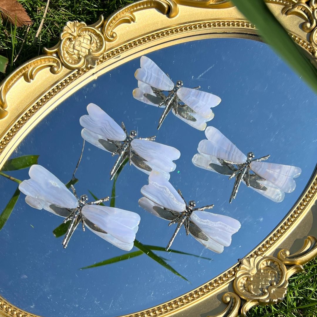 Blue Lace Agate Dragonfly