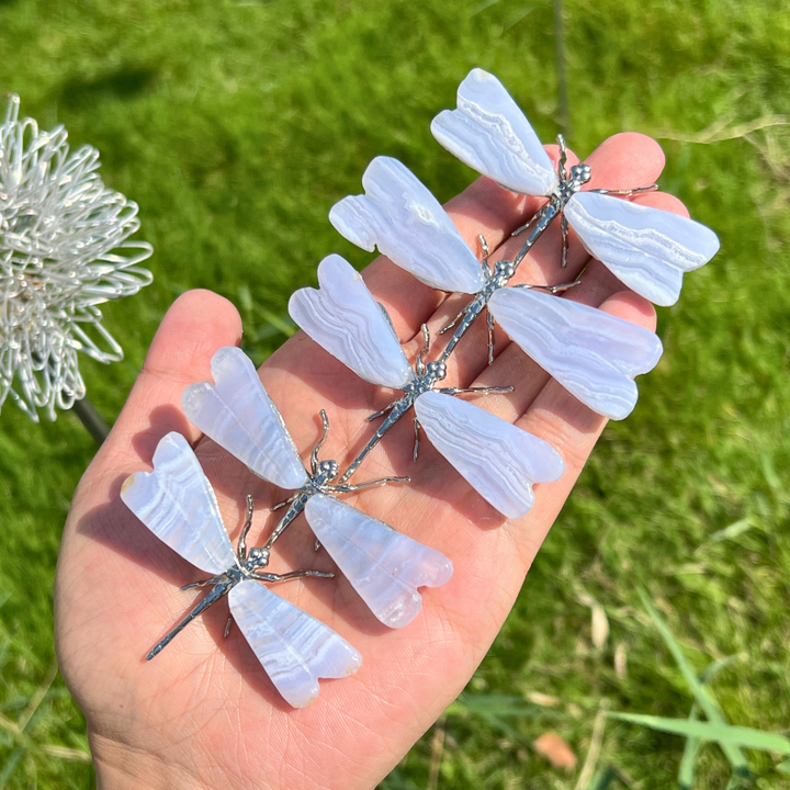 Blue Lace Agate Dragonfly