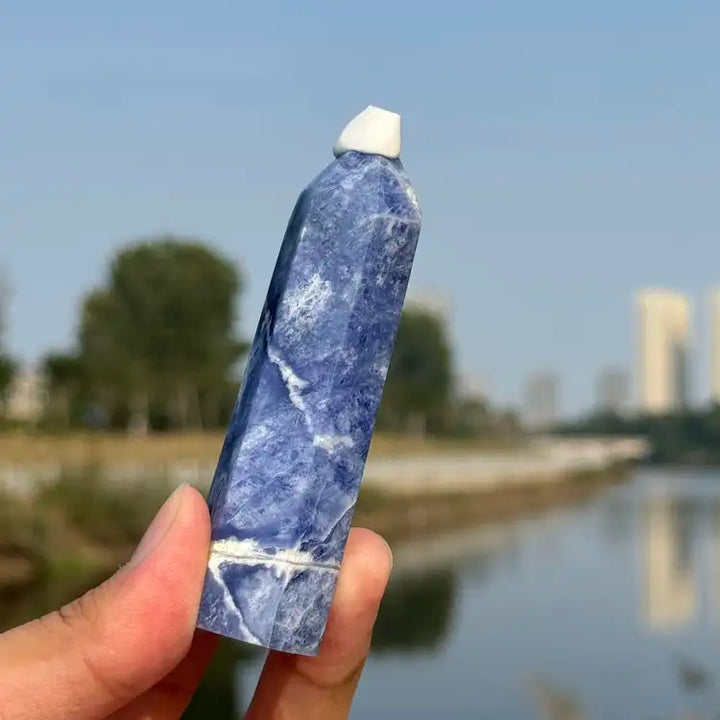 Blue and White Porcelain Sodalite Point