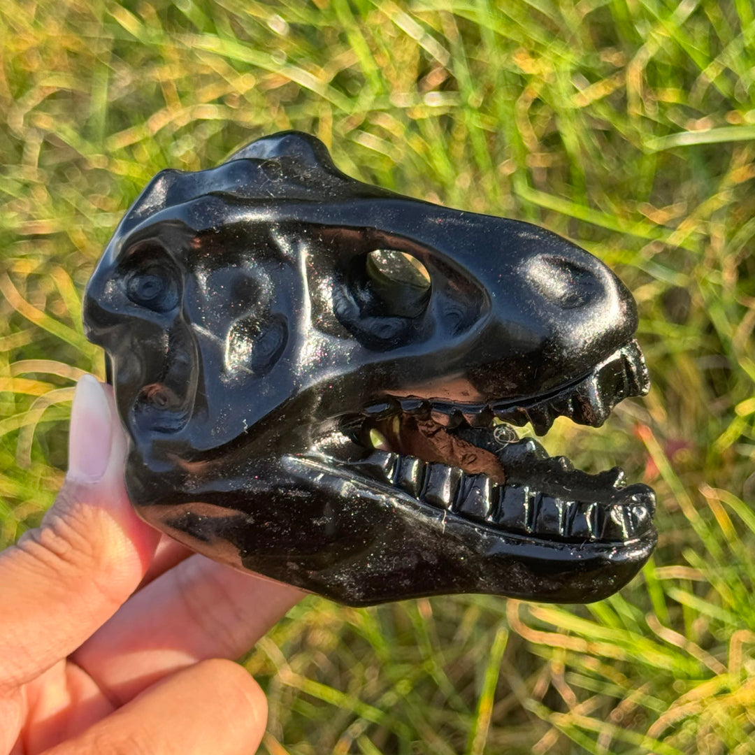 Natural Carved Obsidian Tyrannosaurus Rex Skull