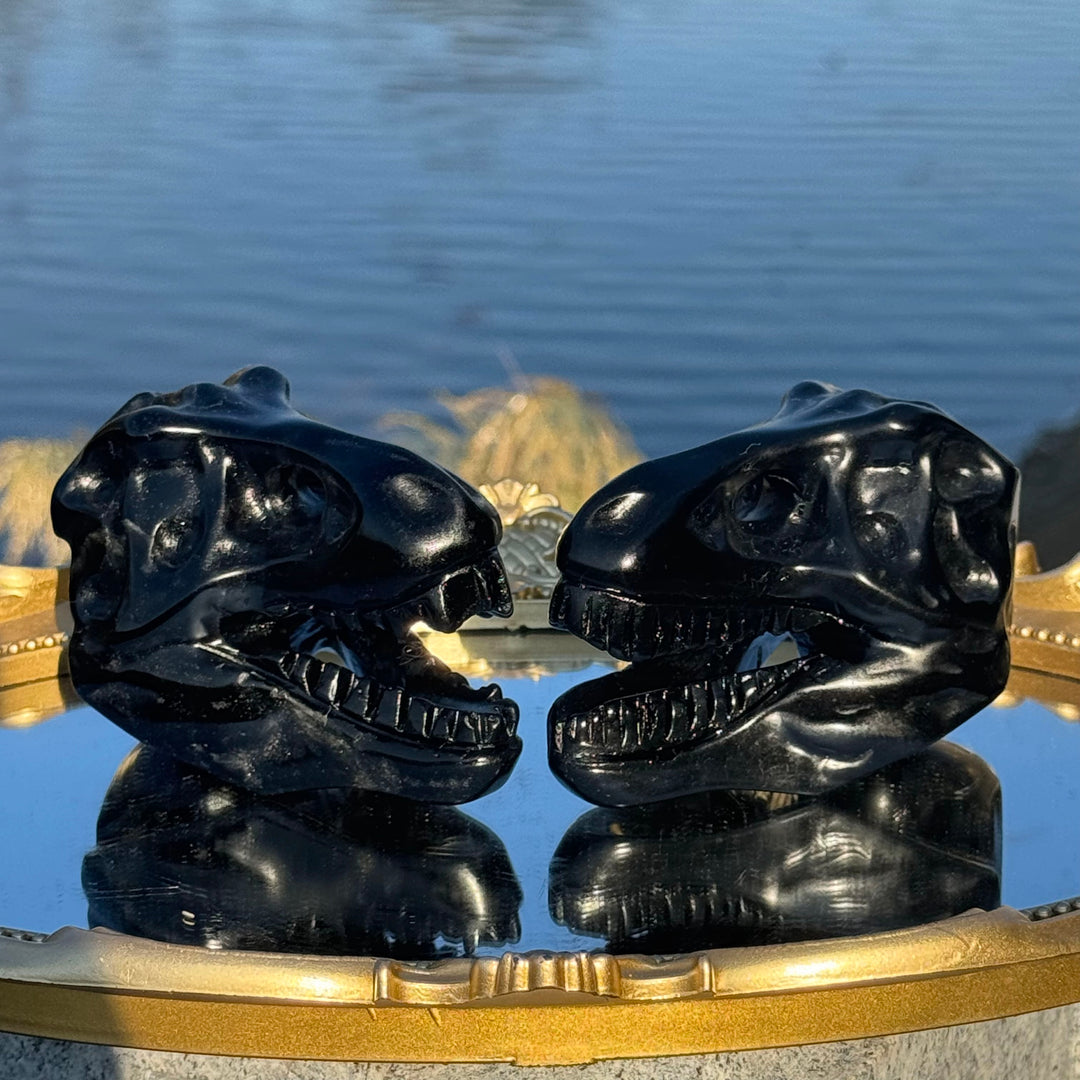 Natural Carved Obsidian Tyrannosaurus Rex Skull