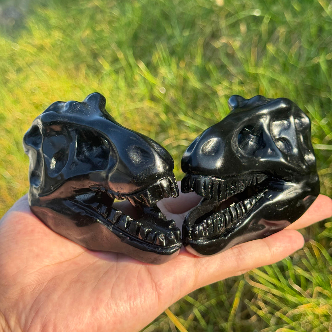 Natural Carved Obsidian Tyrannosaurus Rex Skull