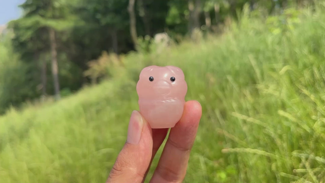 Natural Crystal Basket Pig Carving