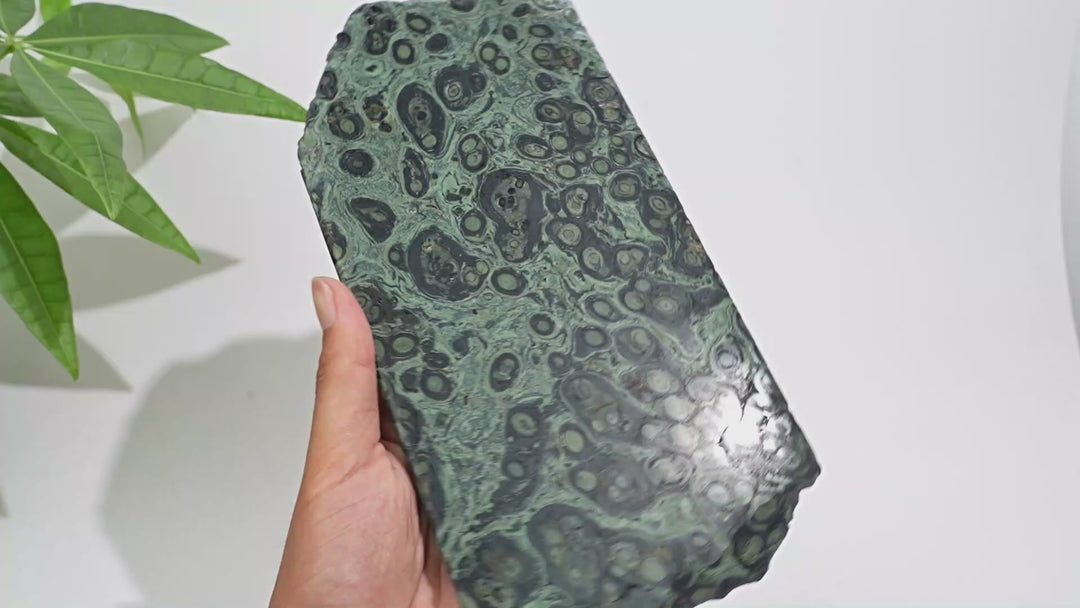 Unique,Natural Crystal Kambaba Jasper Slice