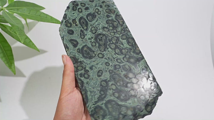 Unique,Natural Crystal Kambaba Jasper Slice