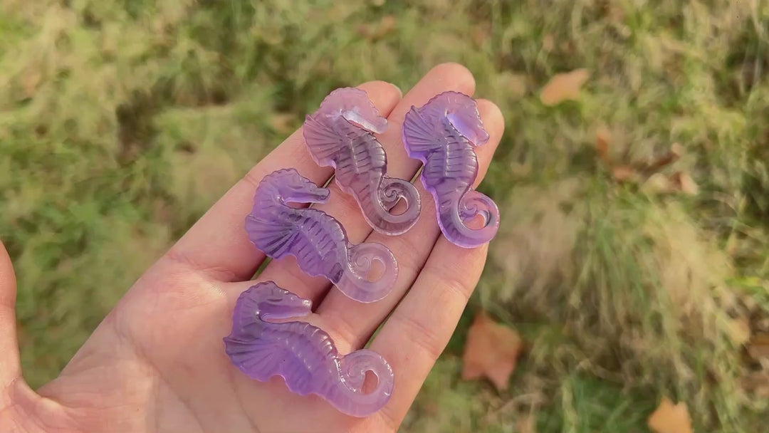 Natural Crystal Carving Fluorite Seahorse