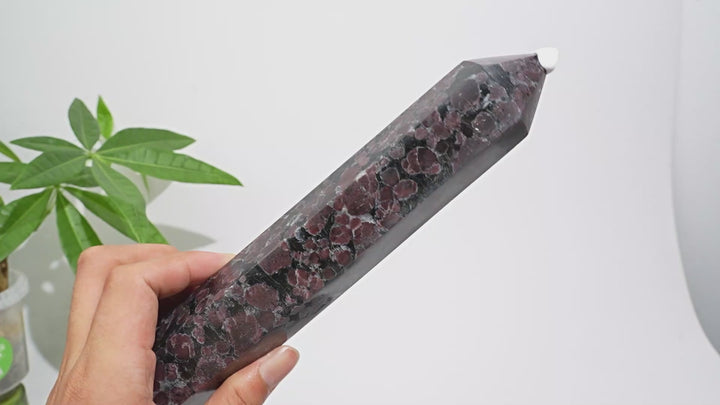 Unique,Natural Crystal Garnet With Arfvedsonite Point