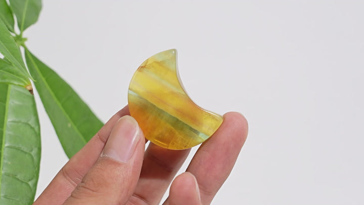 Natural Crystal Pineapple Fluorite Moon