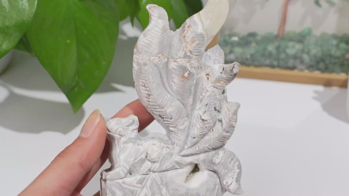 Natural Crystal Carving Mexican Agate Nine-Tailed Fox