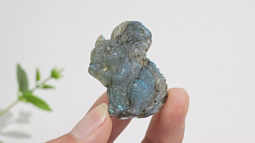 A Slightly Imperfect Natural Crystal Carving Labradorite Squirrel