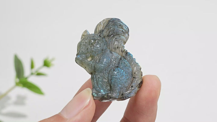 A Slightly Imperfect Natural Crystal Carving Labradorite Squirrel