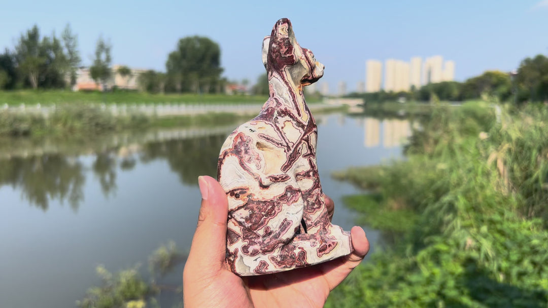 Mexican Agate Sphynx Cat -2