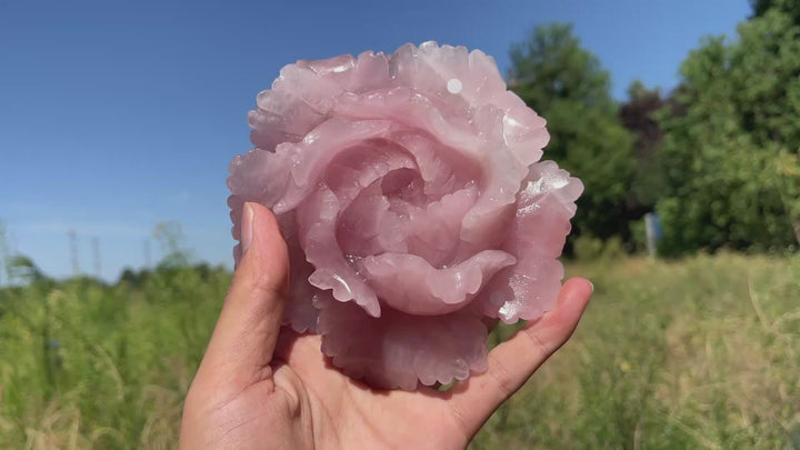 Unique,A Slightly Imperfect Natural Crystal Carving Rose Quartz Peony Flower