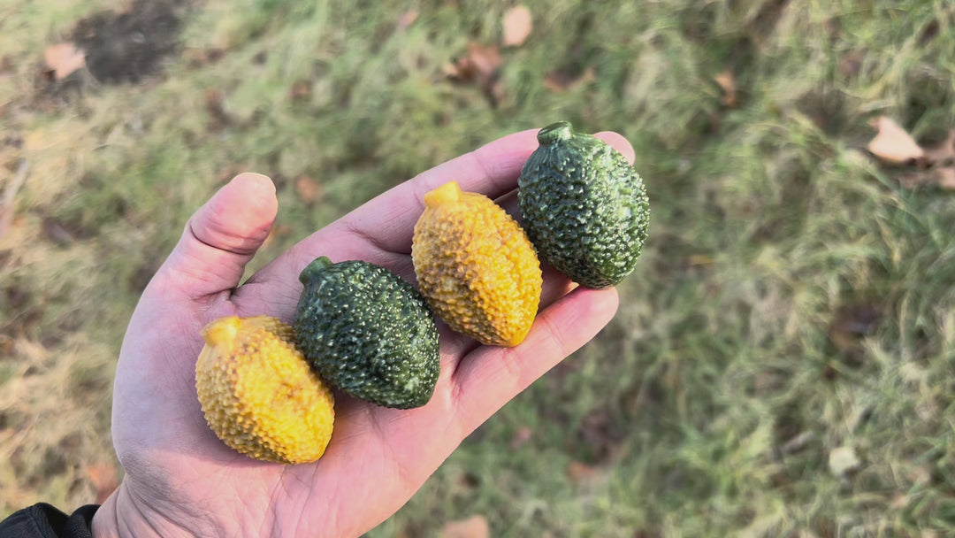 Natural Crystal Food And Fruit Model Durian Carving