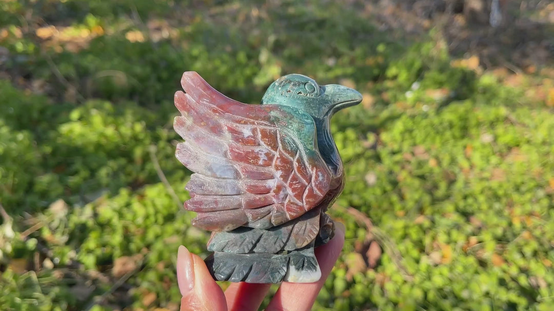 Natural Ocean Jasper Bird