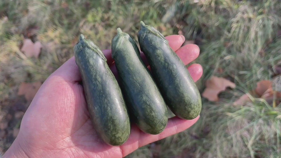 Natural Crystal Carving Serpentine Eggplant