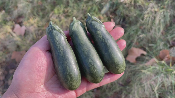 Natural Crystal Carving Serpentine Eggplant