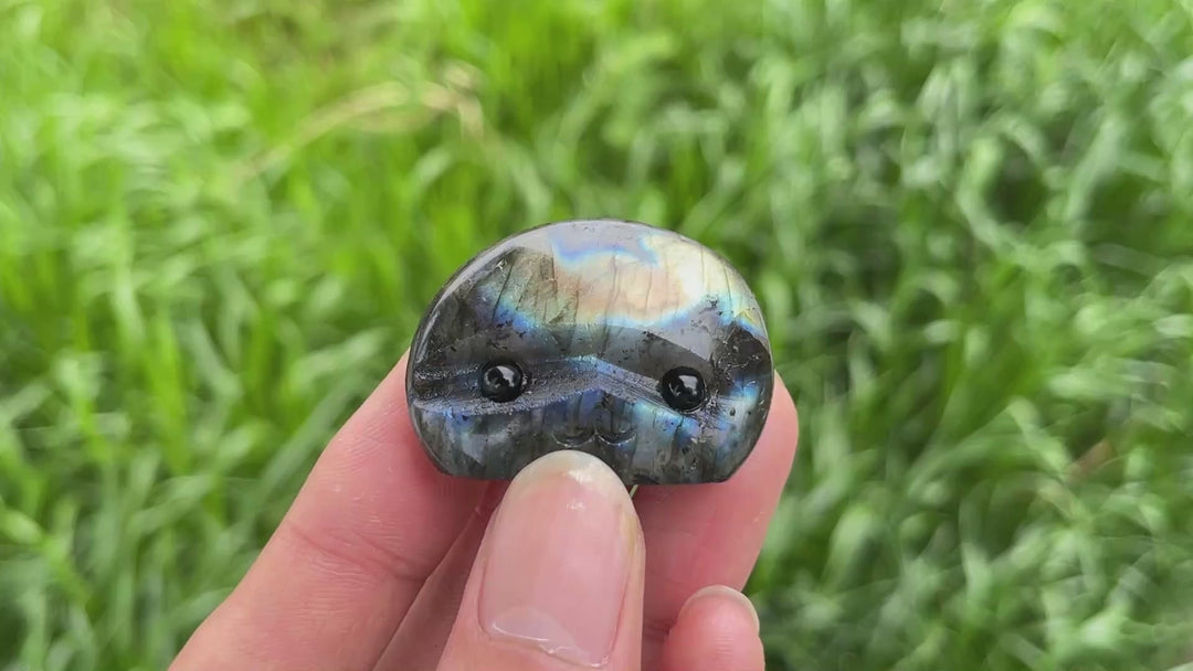 Natural Crystal Labradorite Groot Carving