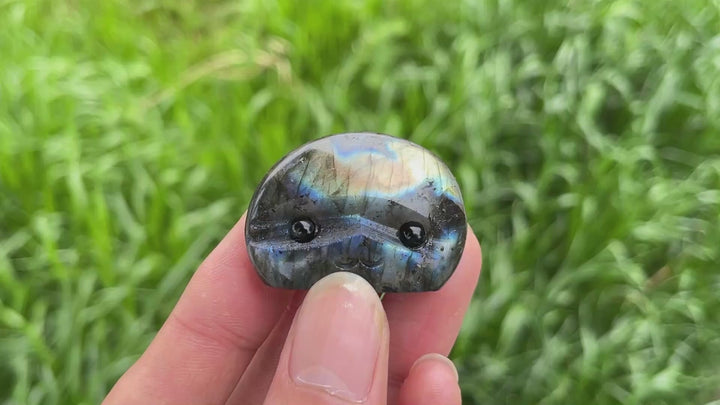 Natural Crystal Labradorite Groot Carving