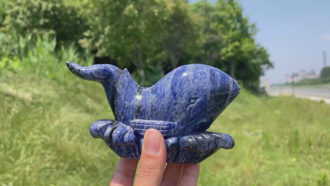 Unique,Natural Crystal Sodalite Whale Carving