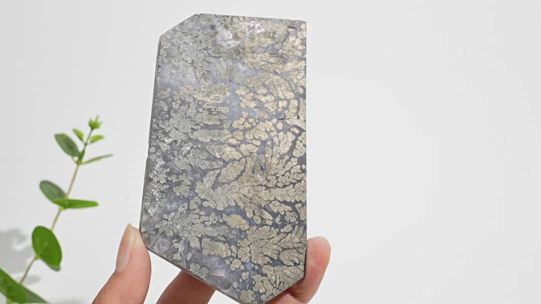 Unique,Natural Crystal Agate With Pyrite Slice