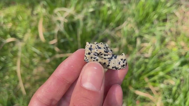 Natural Crystal Carving Mini Dragon Skull