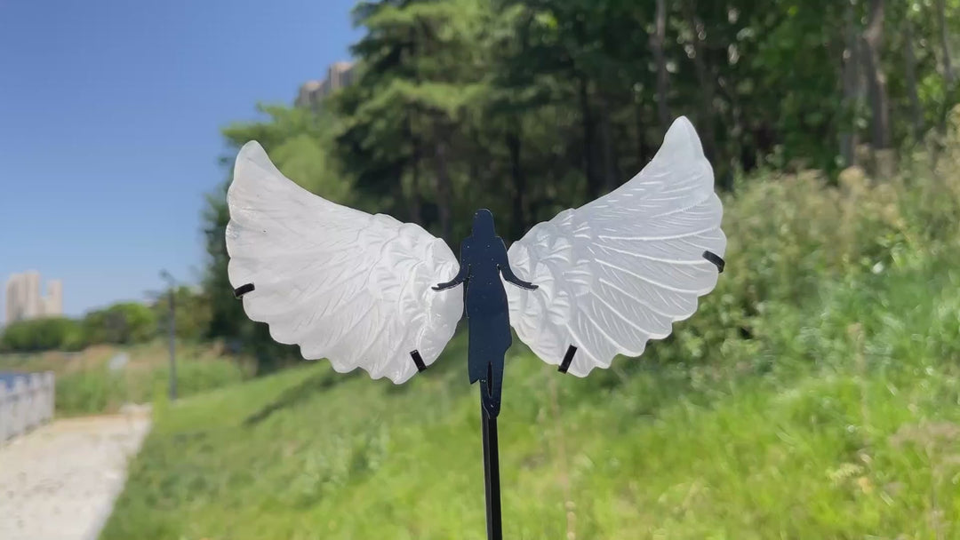 Unique,A Slightly Imperfect Natural Crystal Selenite Angel Wings Carving