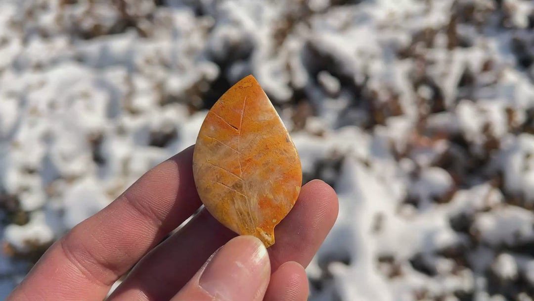 Bumble Bee Jasper Leaf