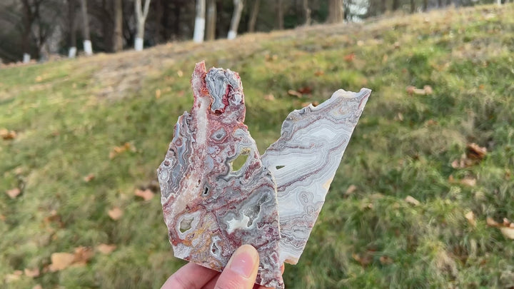 Natural Mexican Agate Slice