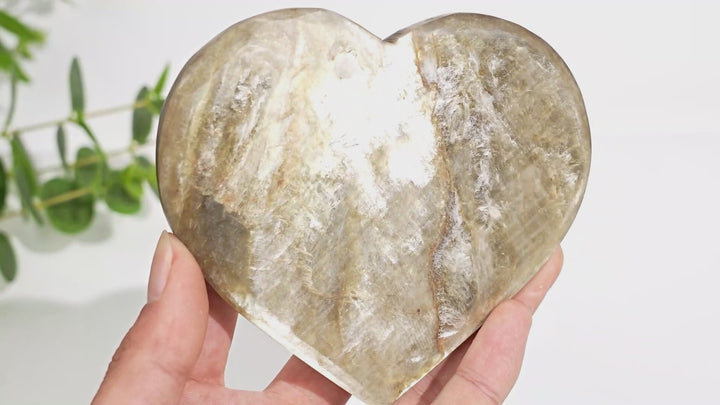 Unique,Imperfect Natural Crystal Phlogopite Heart