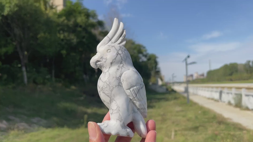 Unique,A Slightly Imperfect Natural Crystal Carving Howlite Parrot