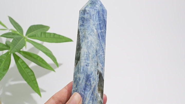 Unique,Natural Crystal Blue Kyanite Point