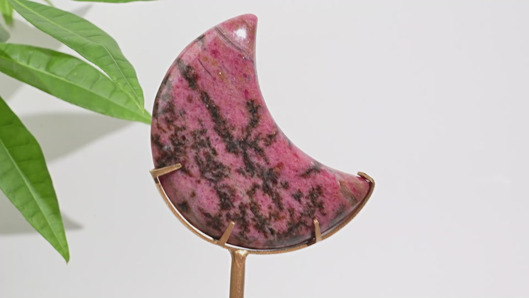 Unique,Natural Crystal Rhodonite In Quartz Crescent Moon Display