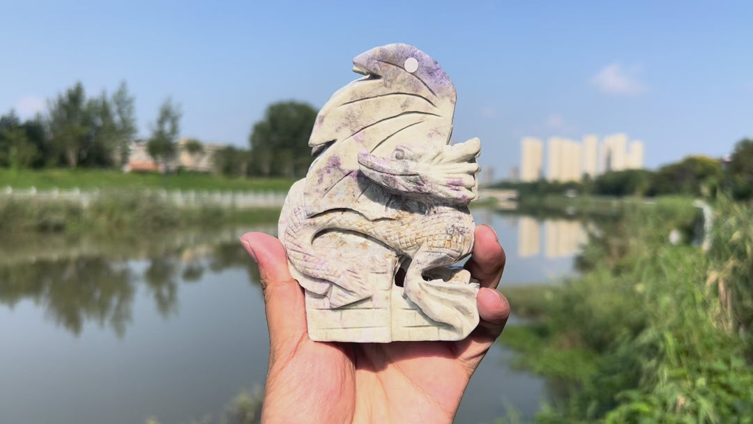 Natural Hackmanite Dragon