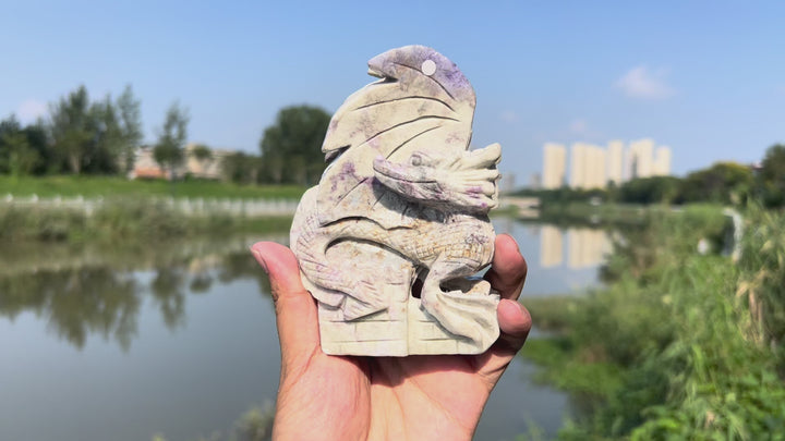Natural Hackmanite Dragon
