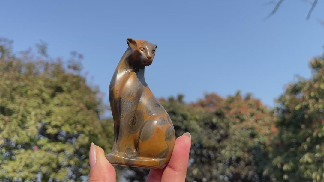 Natural Leopard Skin Jasper Looking Back Leopard Carving