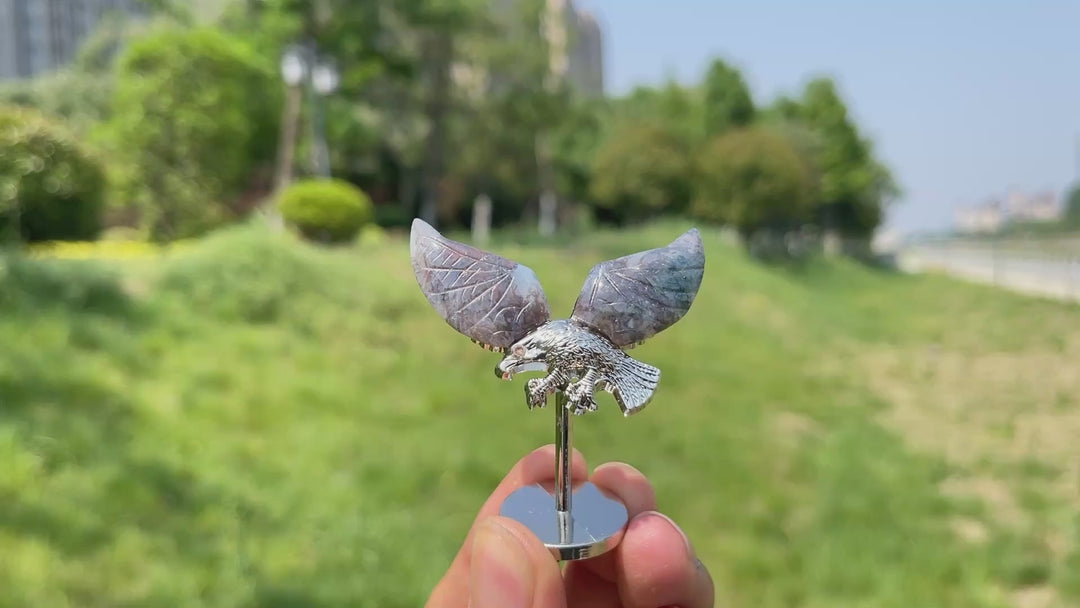 Natural Crystal Flying Eagle Wing