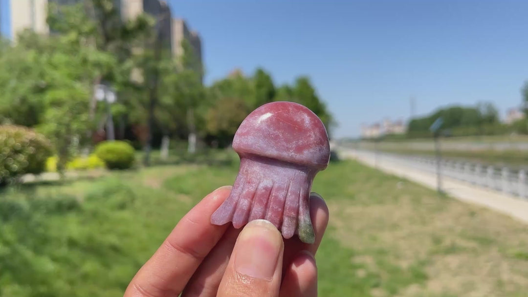 Ocean Jasper Jellyfish