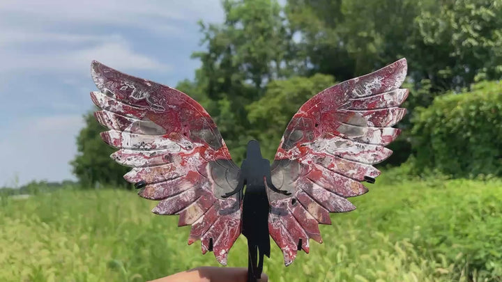 Unique,Natural Crystal Mexican Agate Wings With Stand