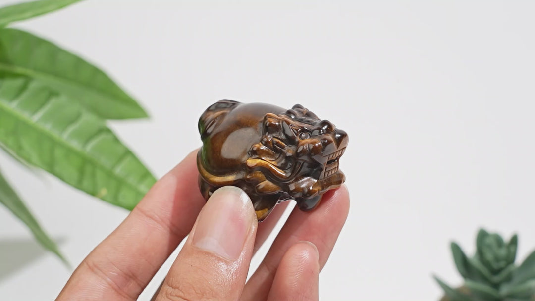 Natural Crystal Tiger Eye Dragon Turtle Carving
