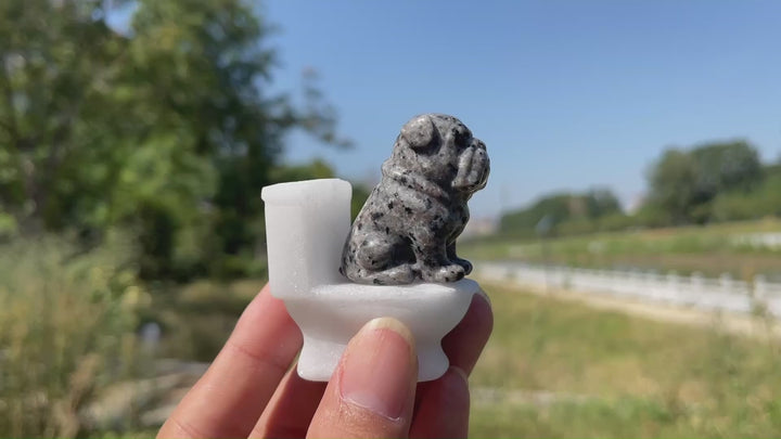 Natural Crystal Cute Dog On Toilet