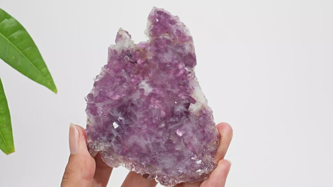 Unique,Natural Lepidolite Slices